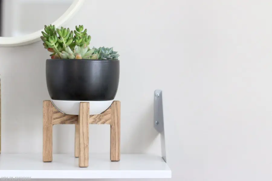 Dorm Room Ideas: DIY Room Decor - Succulent Planter