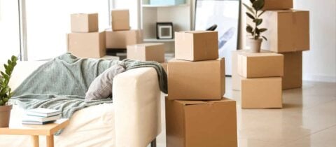 a living room packed with various cardboard moving boxes