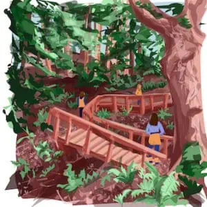 an illustration of people wandering along a path that winds through huge redwood trees