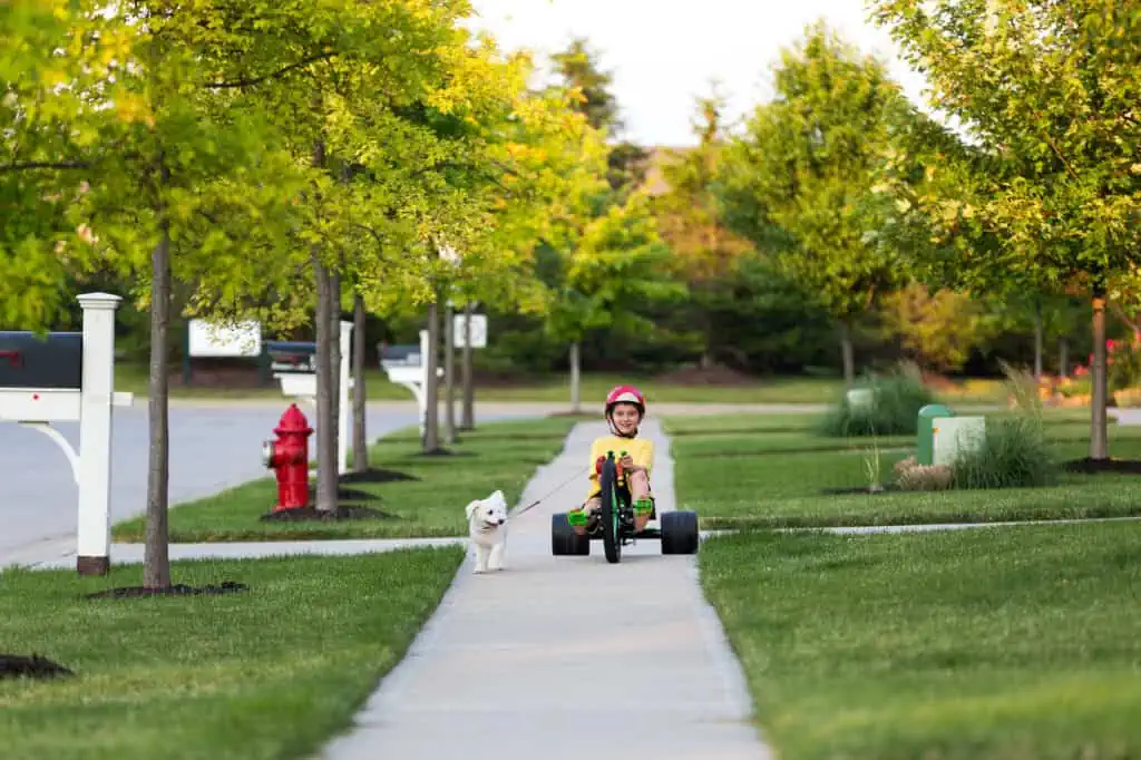 a child riding a tricycle while walking his small white dog in a safe neighborhood