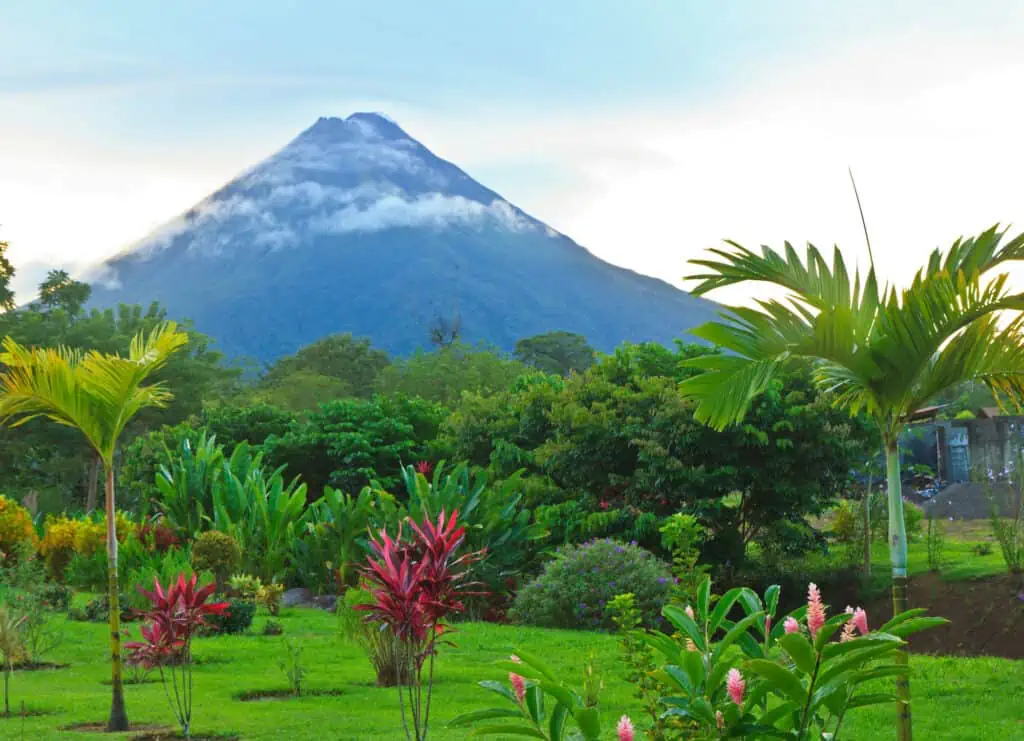 A view of lush, tropical greenery. In the background is the Arenal Volcano, a sightseeing destination in Costa Rica