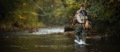 A man knee deep in a river. He&#039;s wearing waders, tackle, and fishing gear, and is in the middle of a cast.