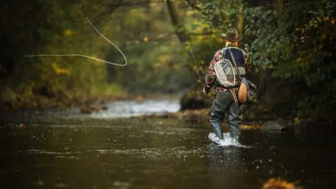 A man knee deep in a river. He's wearing waders, tackle, and fishing gear, and is in the middle of a cast.