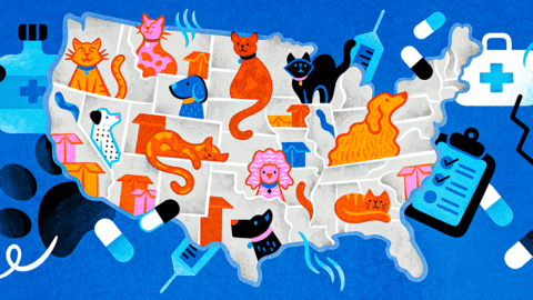 an illustration of the United States of America. Each state has a different colored dog or cat within it. Behind the map are stylized images of medicine capsules, vaccine syringes, doctor's bags, and clipboards