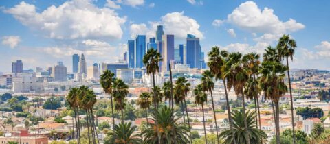 a view of Los Angeles&#039;s downtown skyline, with palm trees in the foreground