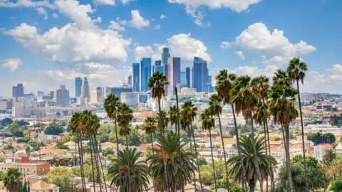 a view of Los Angeles's downtown skyline, with palm trees in the foreground