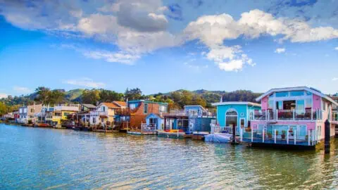 a neighborhood of colorful floating homes on a harbor