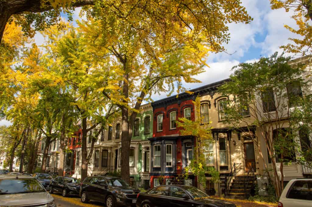 a Washington DC neighborhood in the fall with colorful home fronts and a street filled with parked cars