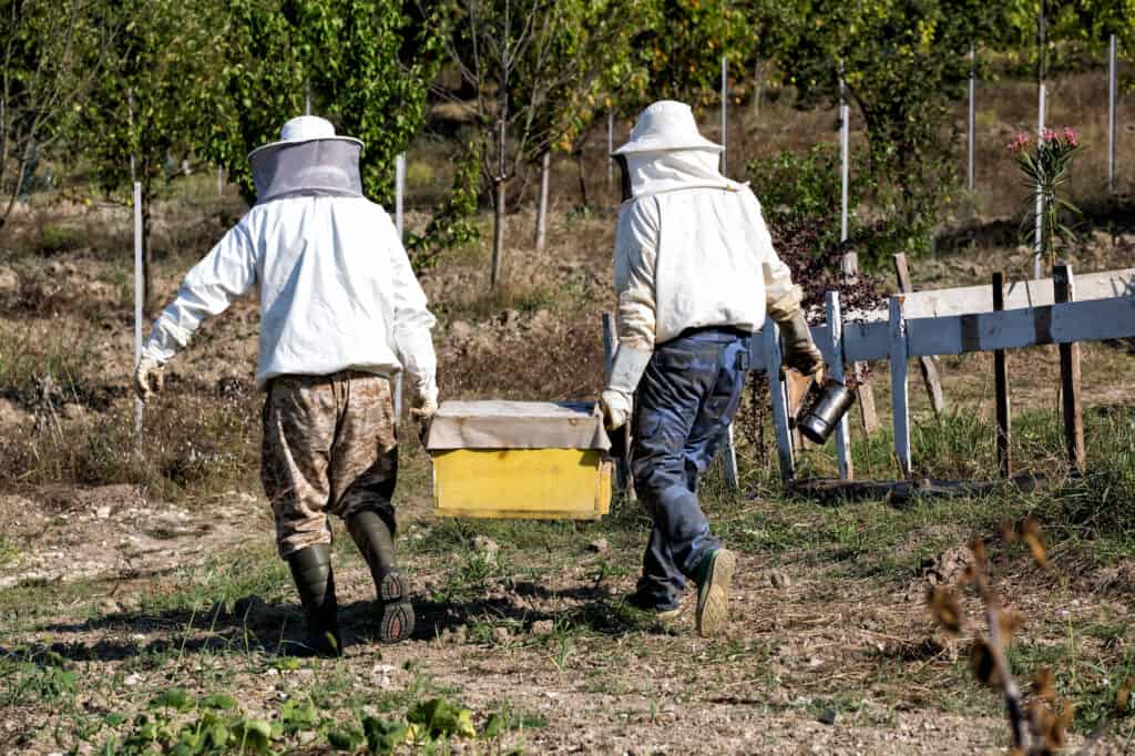beekeepers move a hive across a lawn