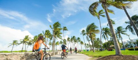 People ride their bikes along a florida beach path lined by palm trees