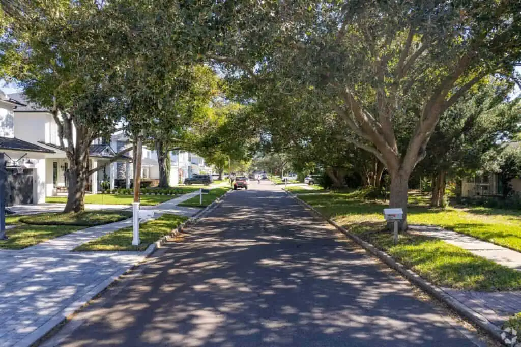 A residential street in the Palma Ceia neighborhood of Tampa, FL