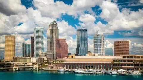 a view of downtown Tampa, FL's skyline