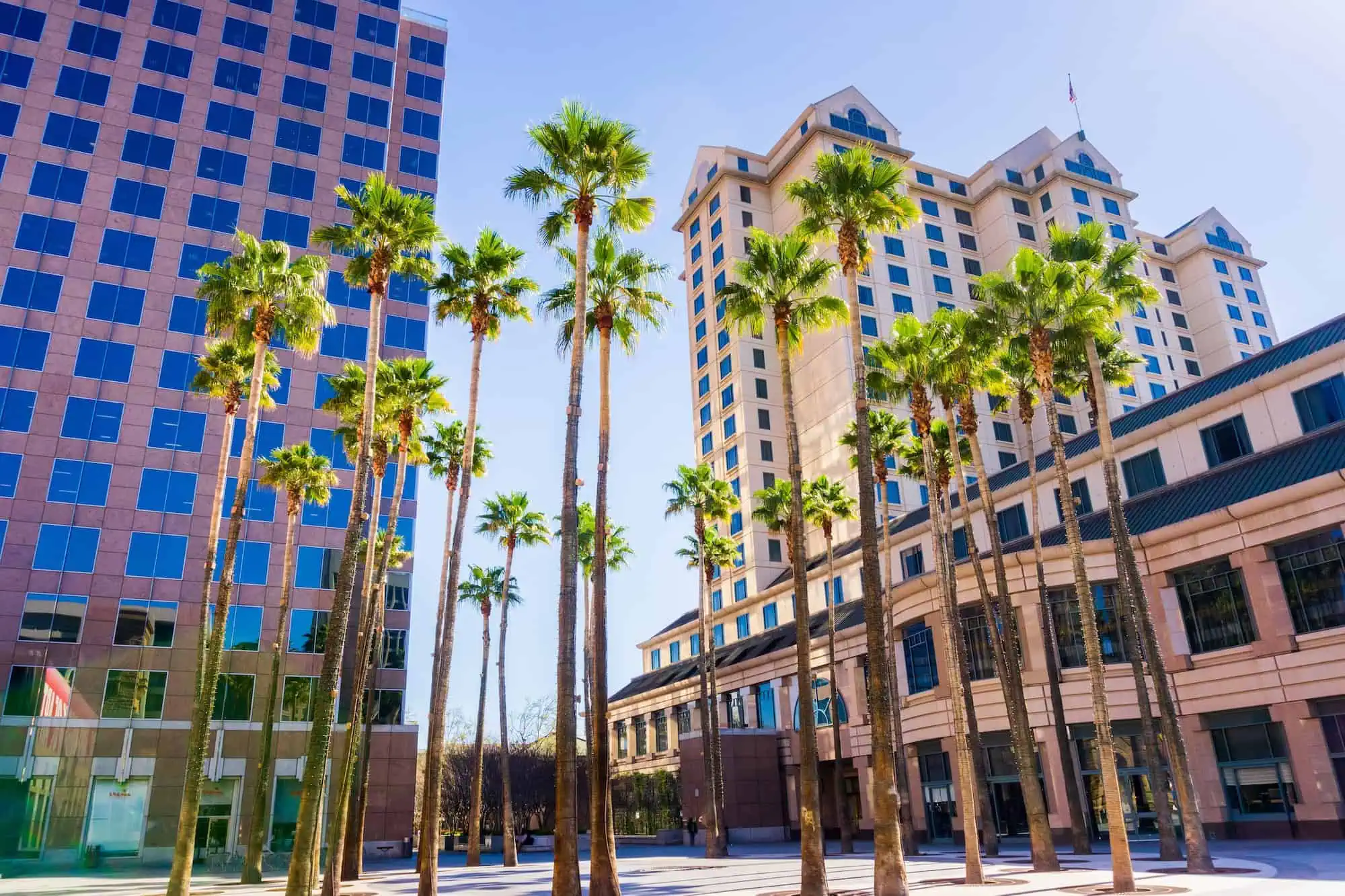 A circle of palm trees in a courtyard in downtown San Jose