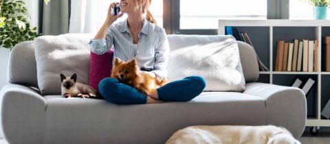 A woman sits on her couch in her apartment with her cat and two dogs