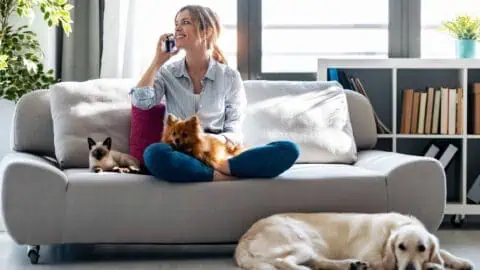 A woman sits on her couch in her apartment with her cat and two dogs