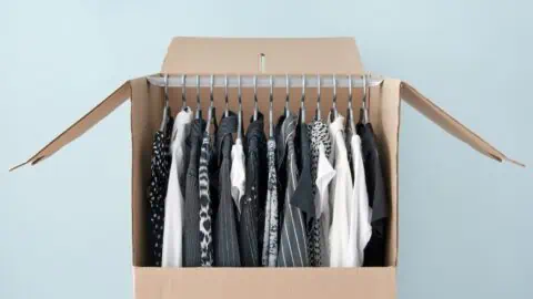 an image of a wardrobe box filled with black, white, and gray clothes hanging inside