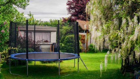 A trampoline with a net sits in the corner of a backyard with a green lawn and trees