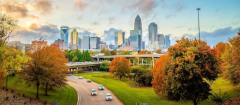 Charlotte, NC skyline at sunset with fall foliage in the foreground