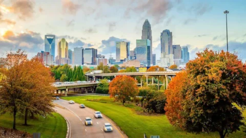 Charlotte, NC skyline at sunset with fall foliage in the foreground