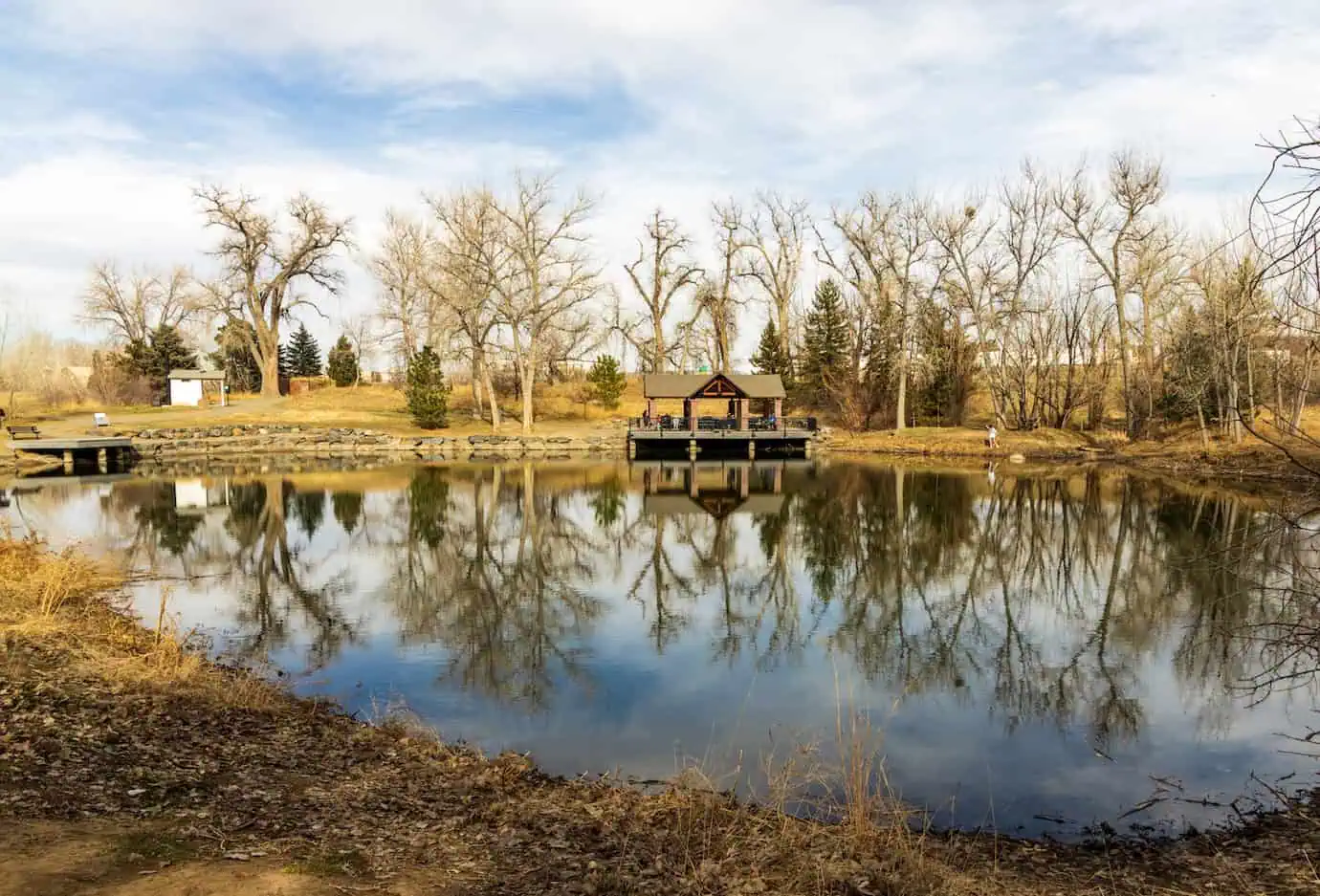 Quiet pond in Highlands Ranch reflecting leafless winter trees and a small wooden pavilion on the water.